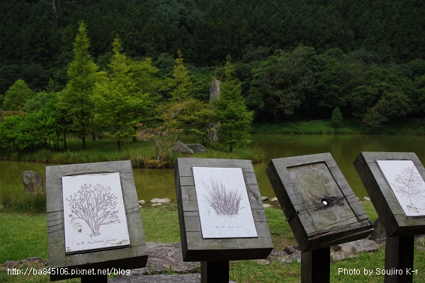 2011.09.10．宜蘭．棲蘭．明池山莊神木二日遊 (72).jpg