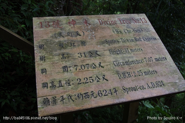 2011.09.10．宜蘭．棲蘭．明池山莊神木二日遊 (165).jpg