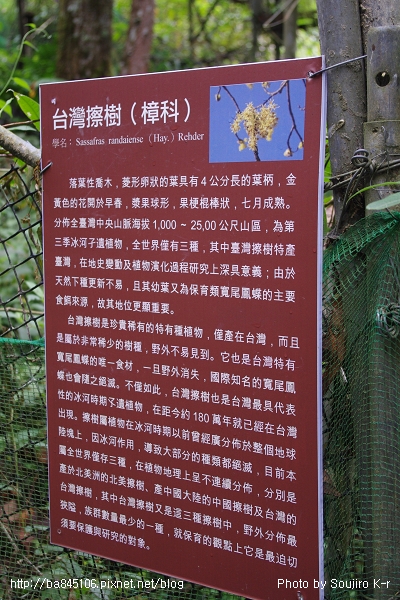 2011.09.10．宜蘭．棲蘭．明池山莊神木二日遊 (184).jpg