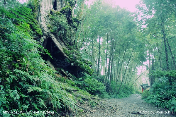 2011.09.10．宜蘭．棲蘭．明池山莊神木二日遊 (258).jpg