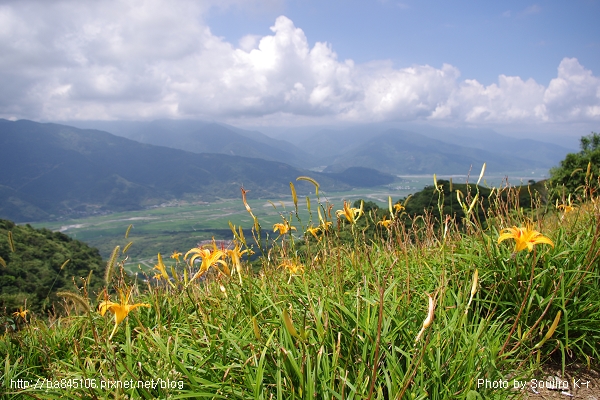 D1-02．花蓮．六十石山．金針花海 (18).jpg