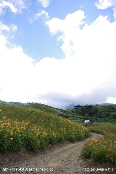 D1-02．花蓮．六十石山．金針花海 (22).jpg