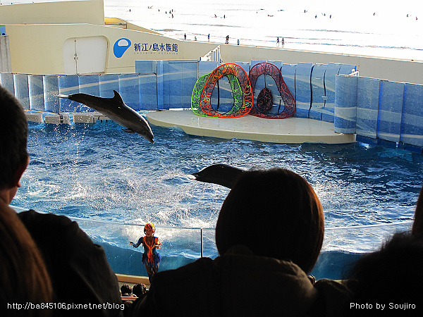 D2-07．新江之島水族館 (11).jpg