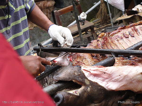 101226．新中橫一日遊 (9).jpg