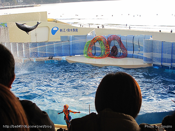 D2-07．新江之島水族館 (12).jpg