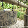 苑裡．華陶窯 (6).jpg