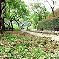 苑裡．華陶窯 (35).jpg