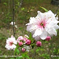 苑裡．華陶窯 (37).jpg