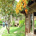 苑裡．華陶窯 (54).jpg