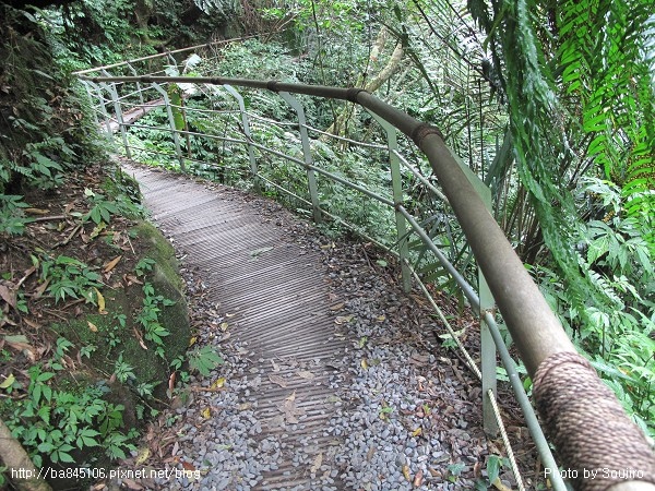 D1-06林美石盤步道 (22).jpg