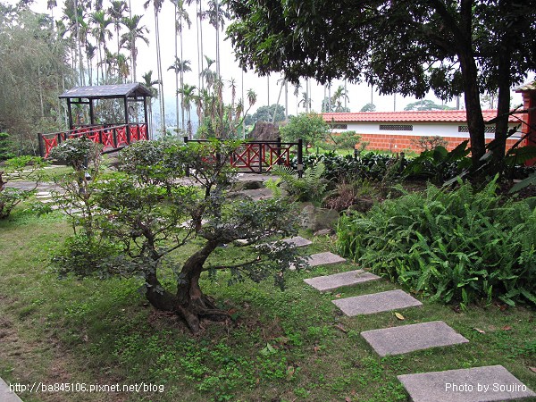 100101．古坑民宿二日 (77).jpg