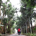 100101．古坑民宿二日 (187).jpg