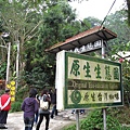 100101．古坑民宿二日 (191).jpg