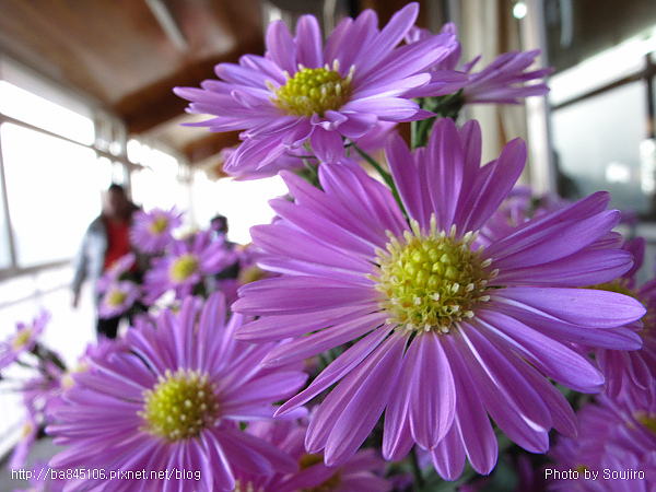 101226．新中橫一日遊 (59).jpg