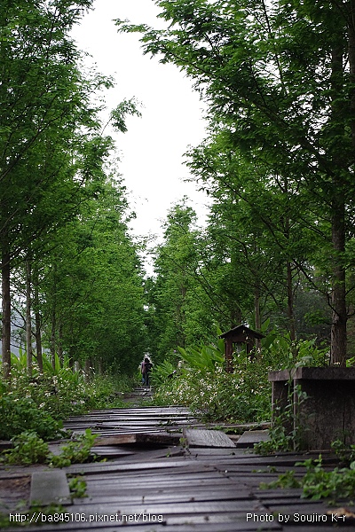 01.紅木農莊．活盆地 (133).jpg