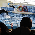 D2-07．新江之島水族館 (10).jpg