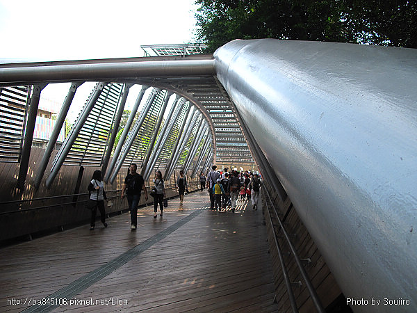 101205．2010台北花博-06．美術館區．花之隧道 (12).jpg