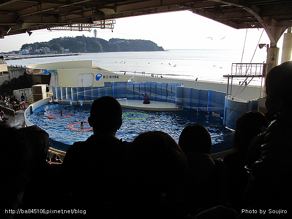 D2-07．新江之島水族館 (7).jpg