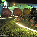 101204．2010台北花博-1．大佳 (8).jpg