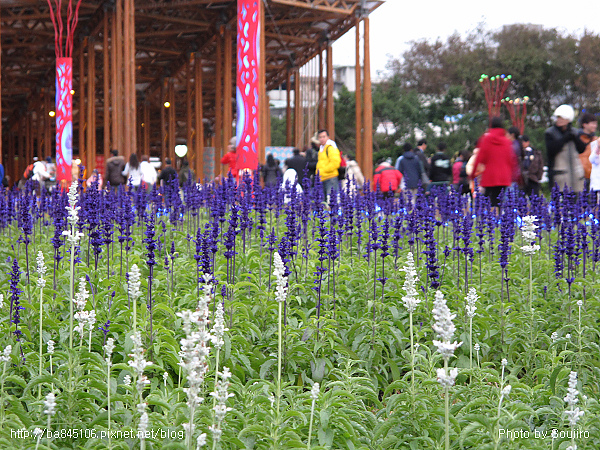 110101．2010台北花博-2 (137).jpg