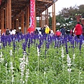 110101．2010台北花博-2 (137).jpg