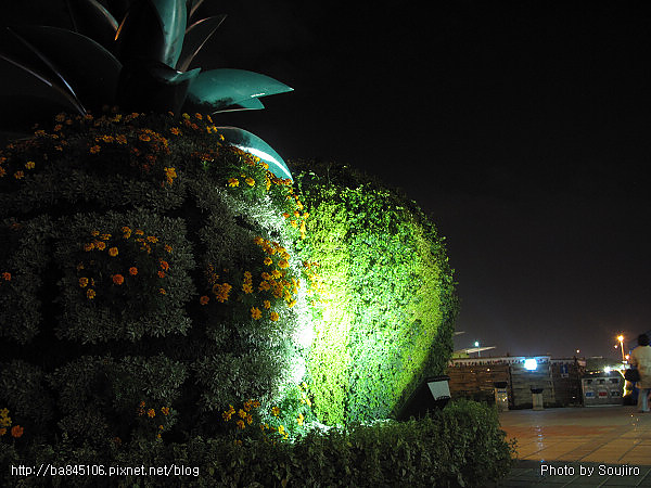 101204．2010台北花博-1．大佳 (30).jpg