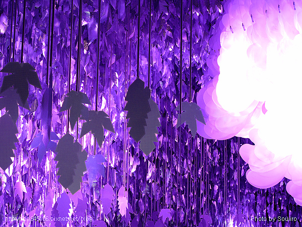 110101．2010台北花博-2 (159).jpg