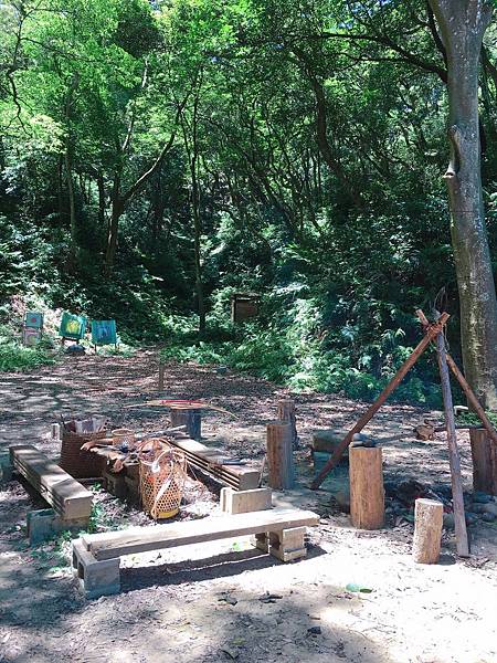 野外求生_200628_8 野外求生_200628_8