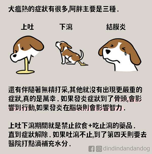 町町噹噹狗生活 阿胖犬瘟治療 端木府 痞客邦