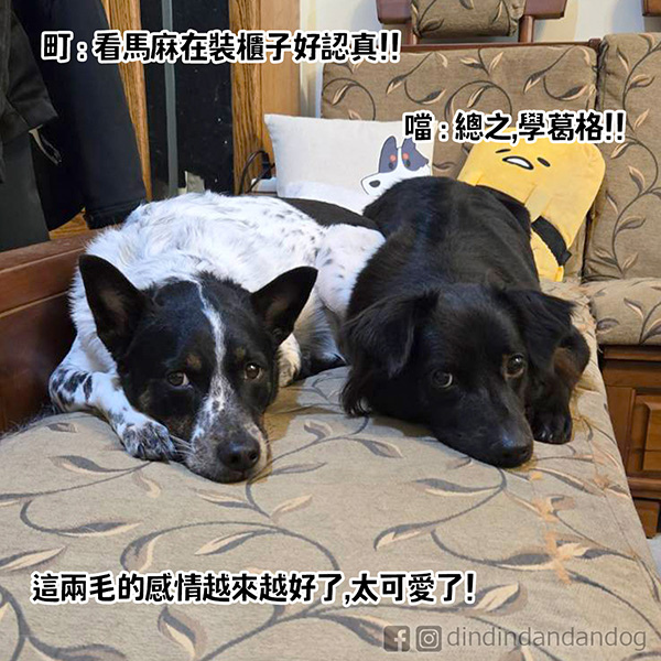 0309_感謝委託8 - 複製