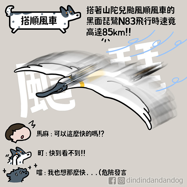 0310_搭順風車1 - 複製