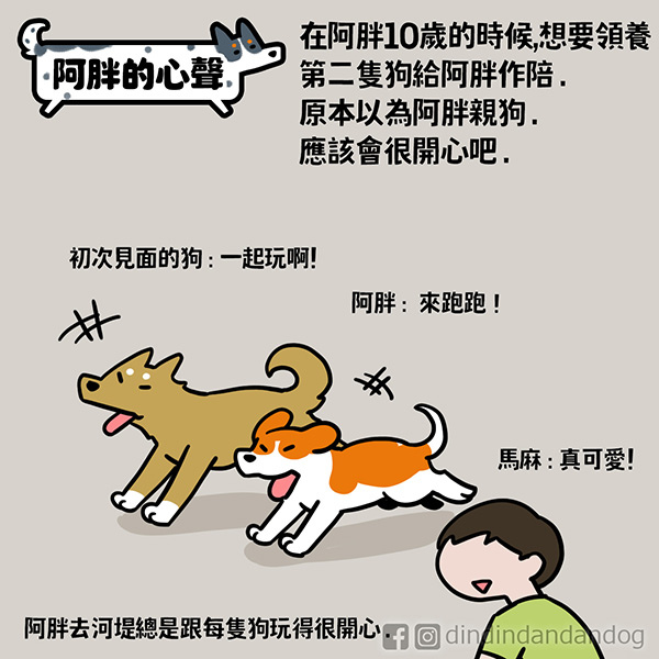 0376_阿胖的心聲1 - 複製