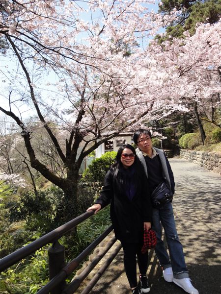 DSC03165.JPG DSC03165.JPG