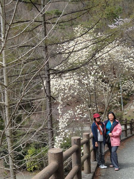 DSC04233.JPG DSC04233.JPG
