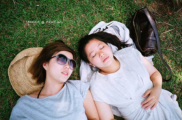 Yashica