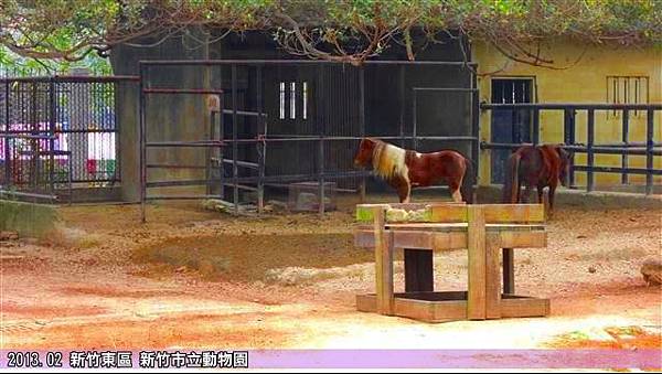 新竹動物園