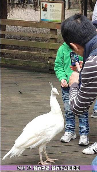 新竹動物園