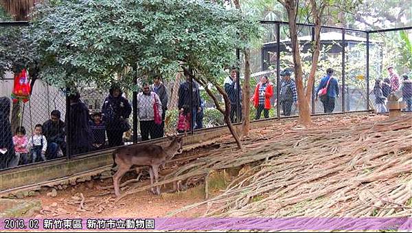 新竹動物園