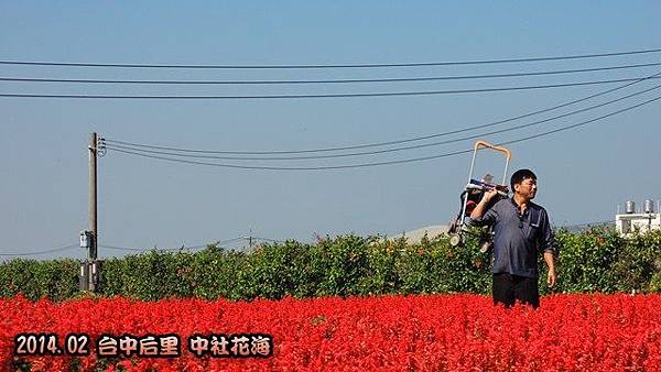 中社花海