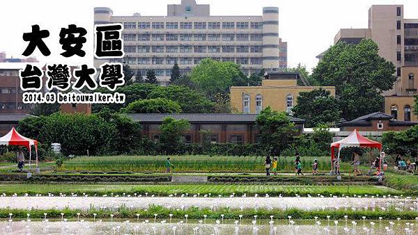 台灣大學 台灣大學