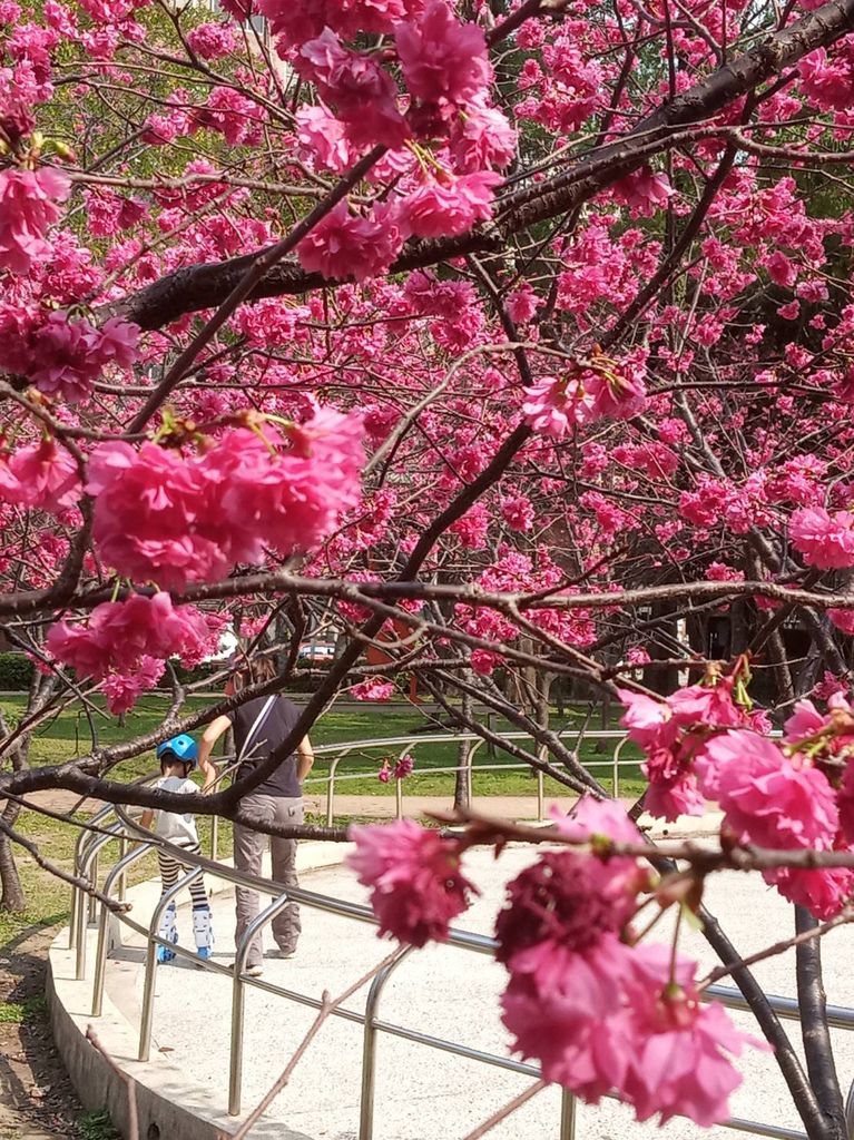 139447.jpg 139447.jpg