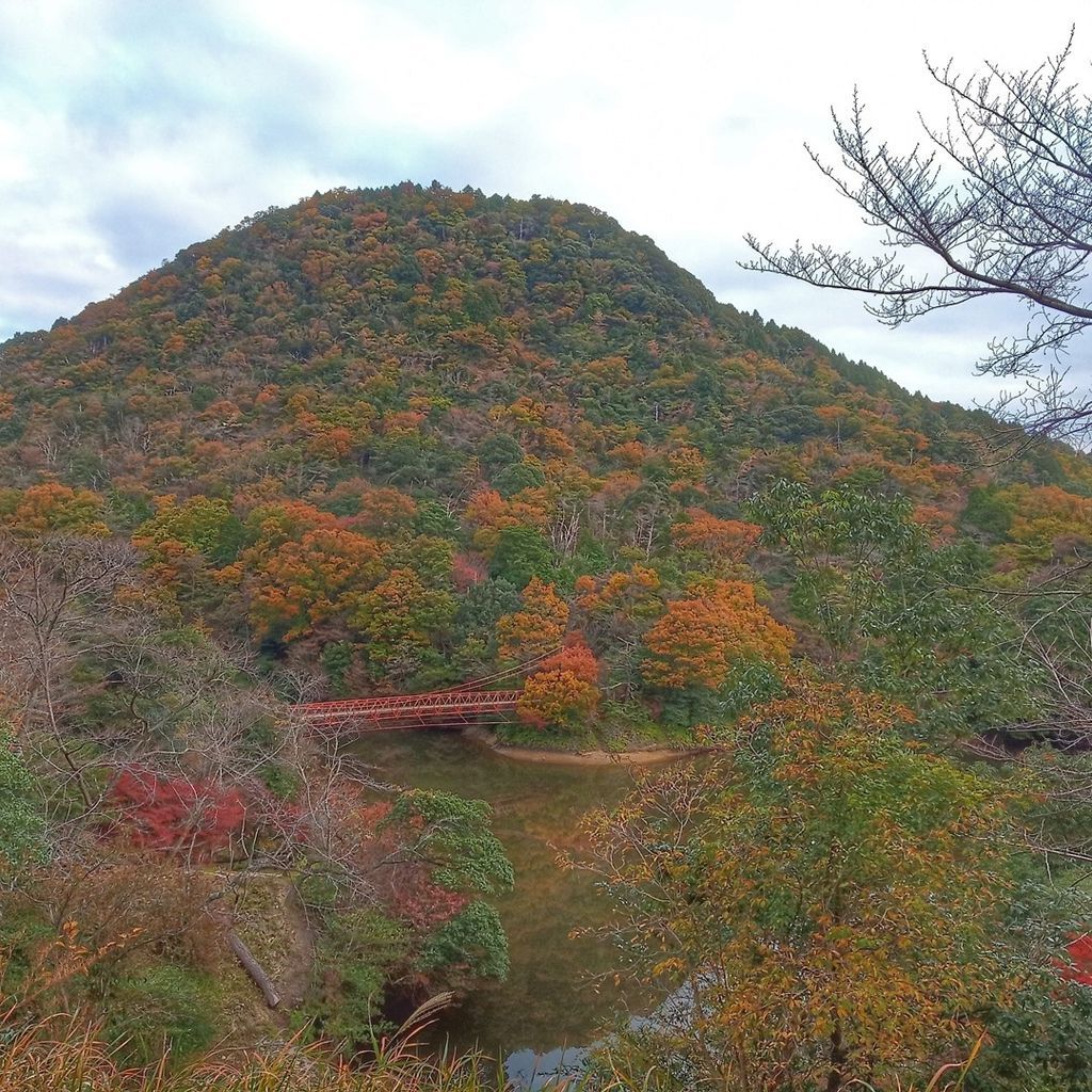 龜山_關口飯店 龜山_關口飯店