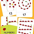 number-flash-cards-11-20