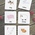 animal-flash-cards-302a