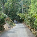 這是登山步道的路