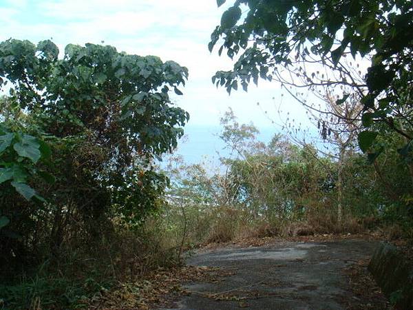 這是登山步道的路