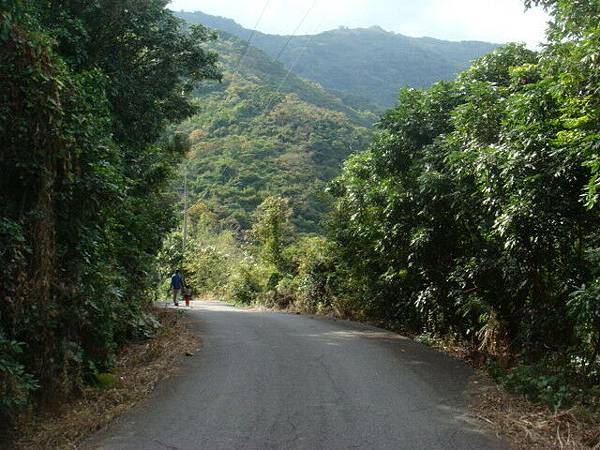 這是登山步道的路