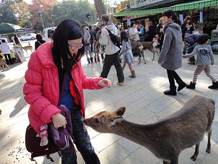 東大寺-2.JPG