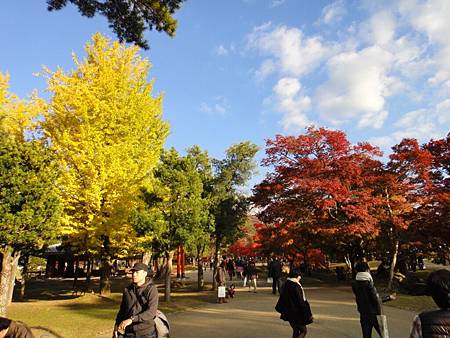 東大寺-32.JPG