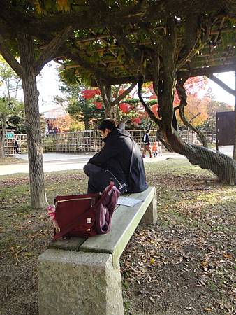 東大寺-37.JPG